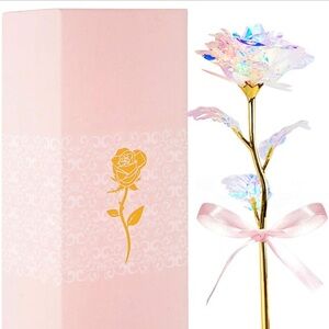 Beautiful Preserved Rose Decor with Gift Box